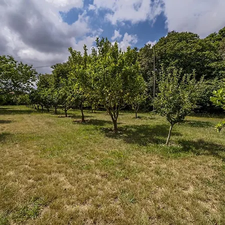 Villa Nomad's Country - 4bed Casa De Macieira *