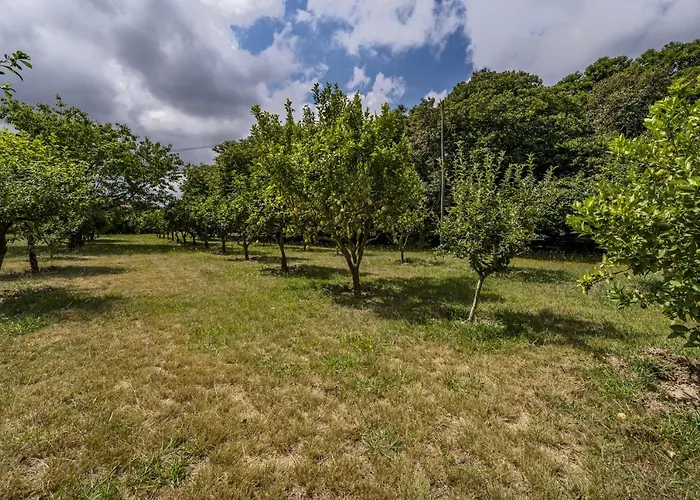 빌라 Nomad's Country - 4bed Casa De Macieira *