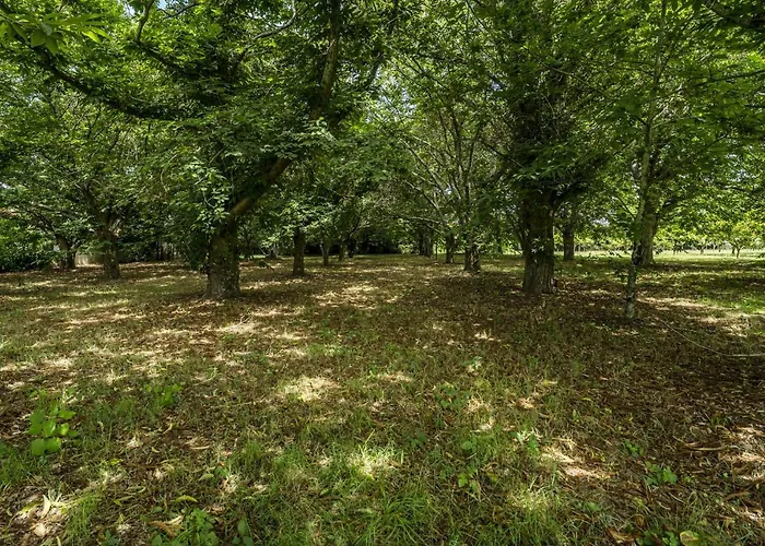 Nomad's Country - 4bed Casa De Macieira 빌라 *